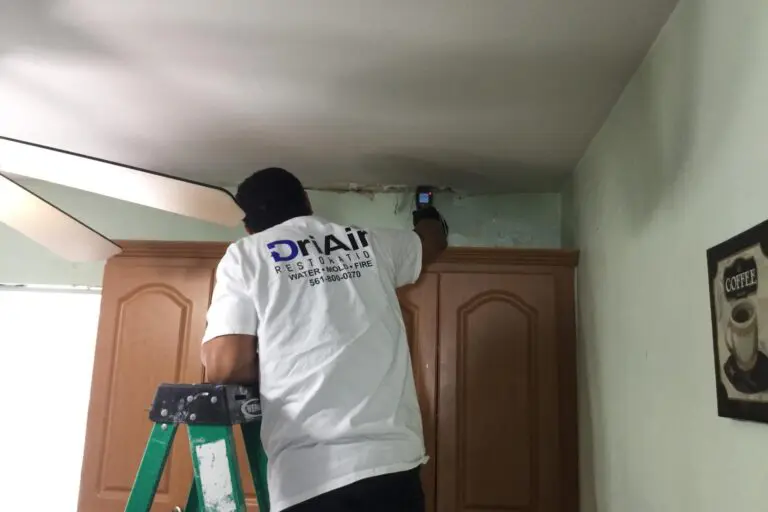 24/7 Mold Damage Remediation & Removal Services In West Palm Beach, Florida