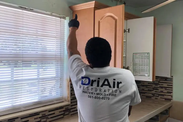 24/7 Mold Damage Remediation & Removal Services In West Palm Beach, Florida