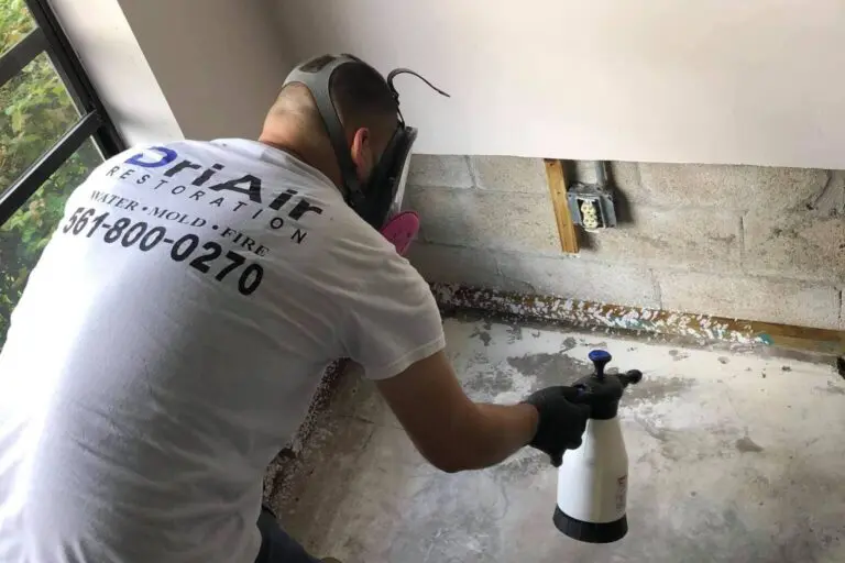 24/7 Mold Damage Remediation & Removal Services In West Palm Beach, Florida
