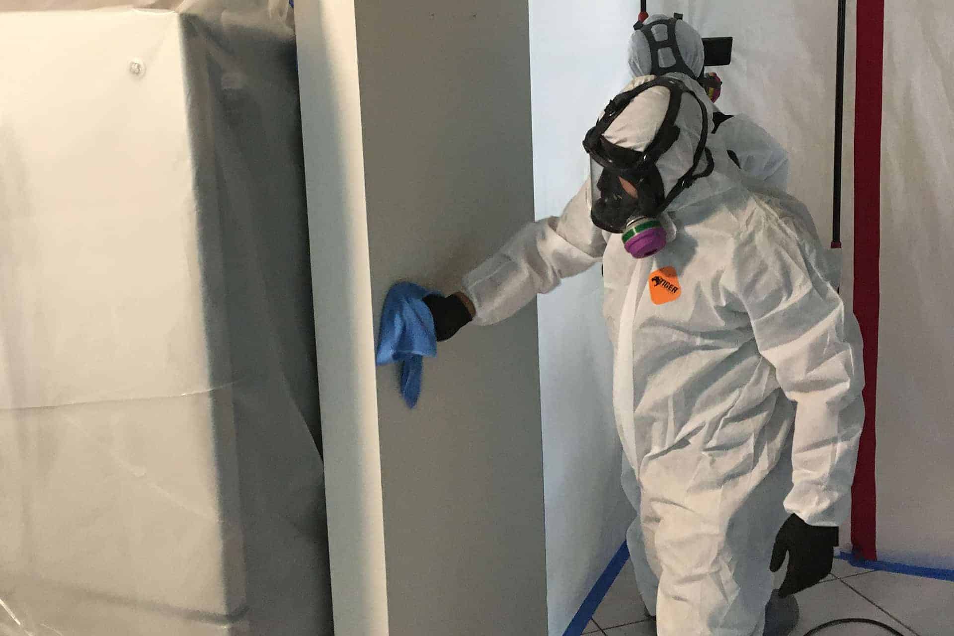 Emergency mold remediation job in process